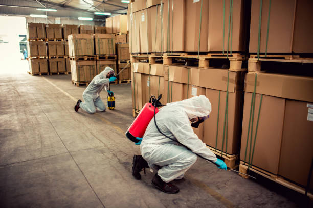 Best Wasp Removal Services  in Siesta Shores, TX