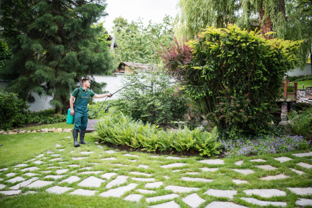Best Pest Prevention Services  in Siesta Shores, TX