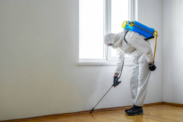 Trusted Siesta Shores, TX Pest Control Experts