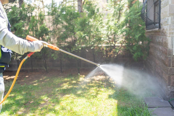Best Best Pest Control Companies  in Siesta Shores, TX