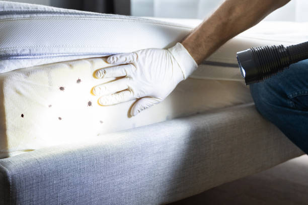 Pest Control Cost in Siesta Shores, TX